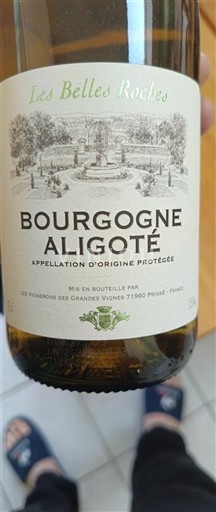 Bourgogne Bourgogne-aligoté Les Belles Roches 2023