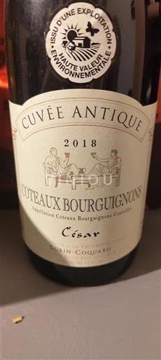 Burgundi Burgundin rinteet Sorin-Coquard Antique 2018