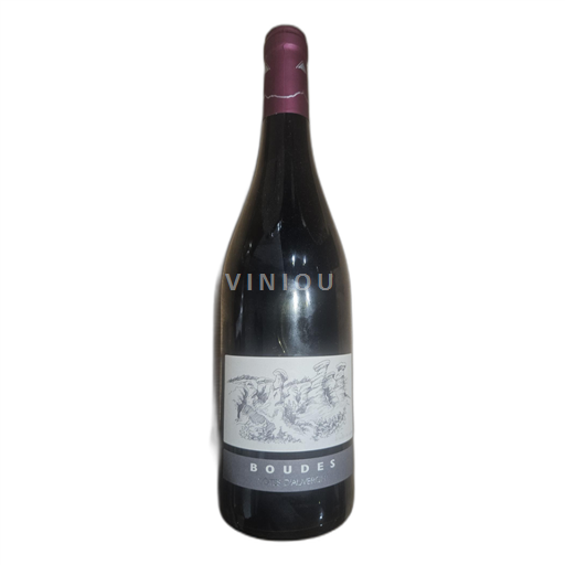 Dolina Loare Côtes d'Auvergne La cave de Saint Verny Boudes 2020