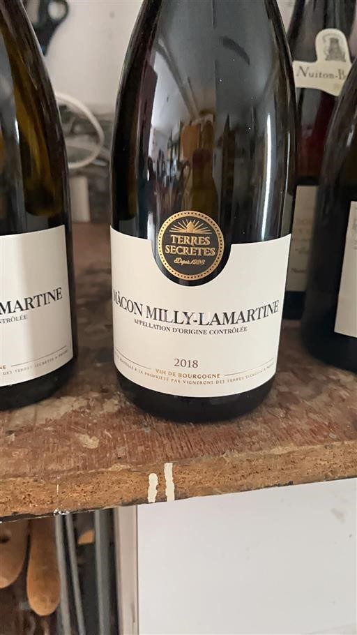 Burgundy Mâcon and Mâcon-Villages Vignerons des Terres Secrètes 2018