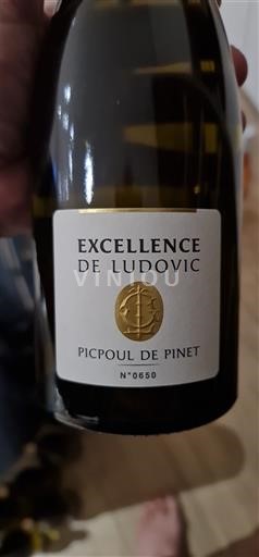 Languedoc Picpoul-de-pinet Excellence de Ludovic 2022