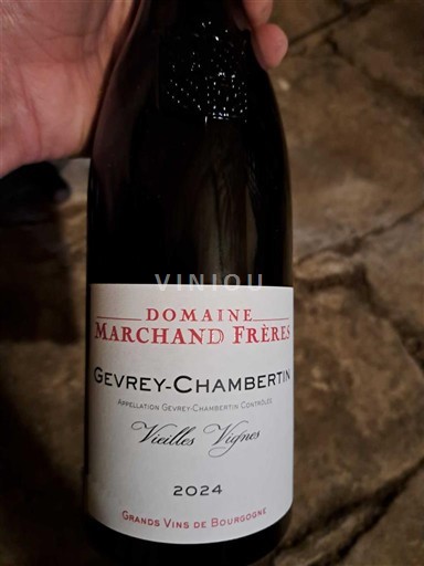 Wines Gevrey-Chambertin Domaine Marchand Freres - Vieilles Vignes
