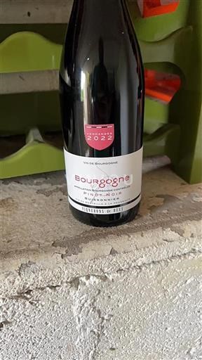 Burgundi Bourgogne Vignerons de Buxy Buissonnier 2022