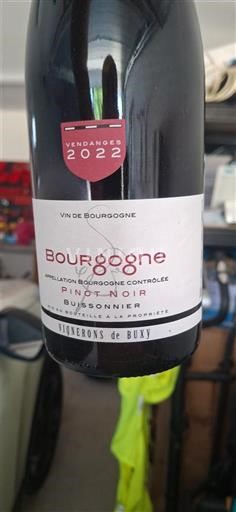 Bourgogne Vignerons de Buxy Buissonnier 2022