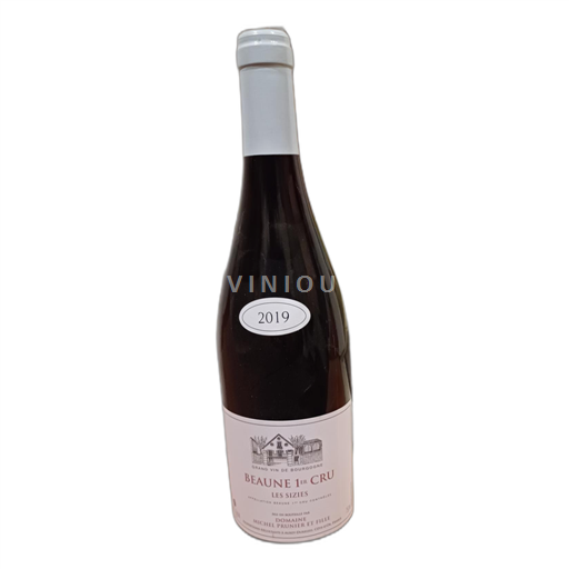 Bourgogne Ospecificerad Domaine Michel Prunier et Fille Les Sizies 2019
