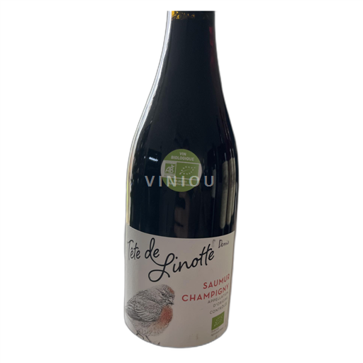 Loire Valley Saumur-Champigny Tête de Linotte Non-Vintage