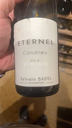 Vallée du Rhône Condrieu Sylvain Badel Eternel 2018