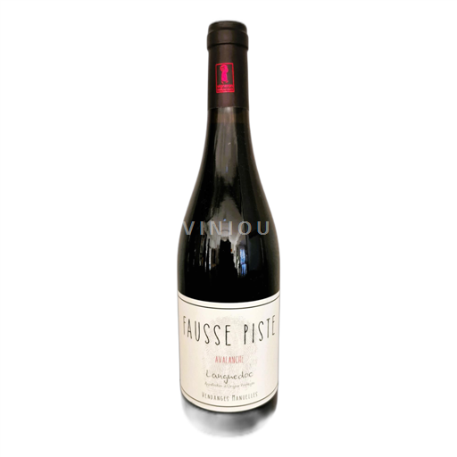 Languedoc Fausse Piste Avalanche 2018