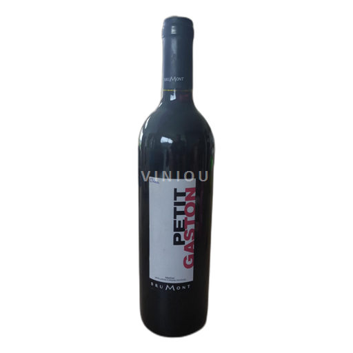 Lounais-Ranska Madiran Brumont Petit Gaston 2014