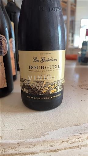 Vallée de la Loire Bourgueil Les Gadelières 2023