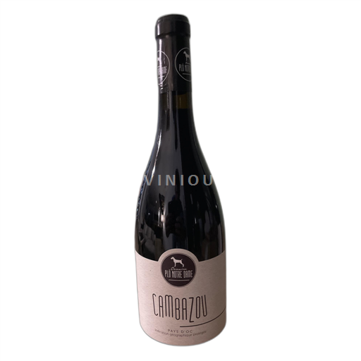 Languedoc No especificado Domaine Plô Notre Dame Cambazou 2021