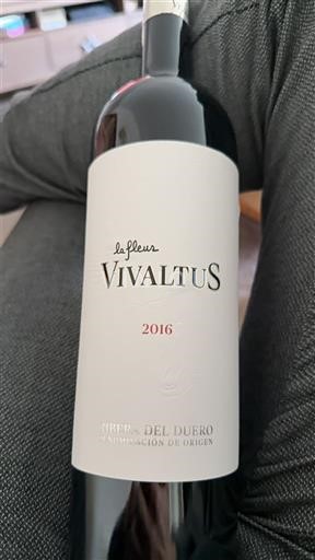 Castilien og León Ribera del Duero Vivaltius la fleur 2016
