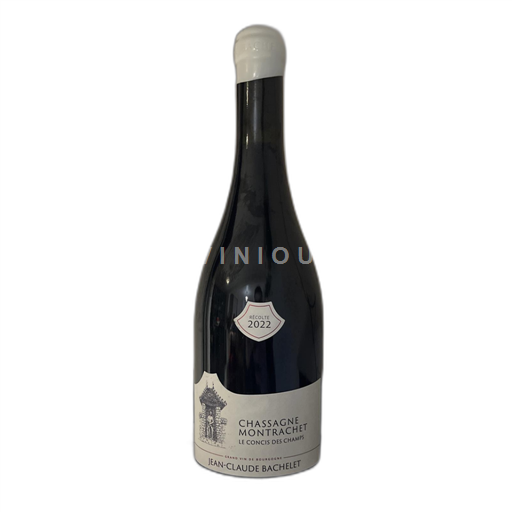 Borgogna Chassagne-Montrachet Jean-Claude Bachelet Le Concis des Champs 2022