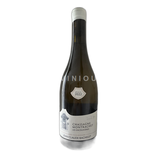 Borgogna Chassagne-Montrachet Jean-Claude Bachelet Les Encégnières 2022