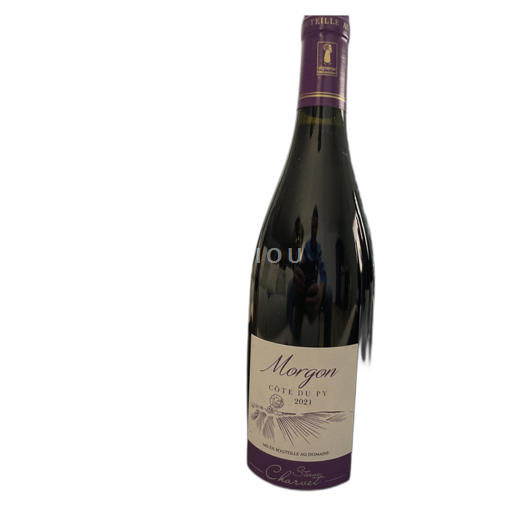 Beaujolais Morgon Steve Charvet Côte du Py 2021