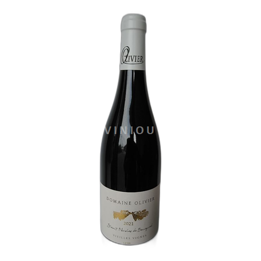 Loire Valley Saint-Nicolas-De-Bourgueil Domaine Olivier Vieilles Vignes 2021