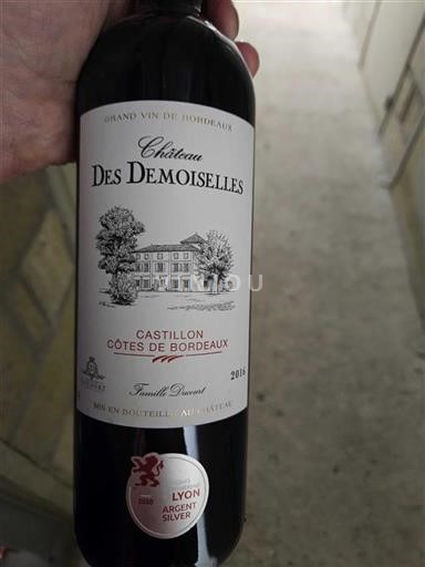 Bordeaux Castillon-côtes-de-bordeaux Château Des Demoiselles 2016