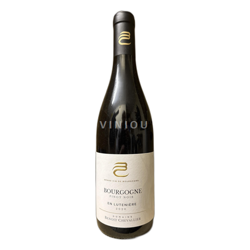 Bourgogne Domaine Benoit Chevallier En Lutenière 2020