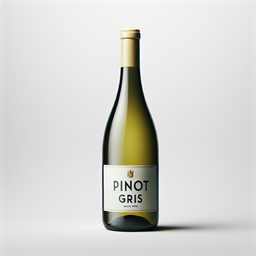Alsace Pinot Grigio Domaine Armand Gilg PG2B 2018