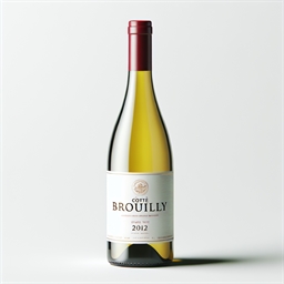 Beaujolais Côte-de-Brouilly Château Thivin Clos de Rochebonne 2020