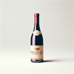 Borgogna Hautes Côtes de Beaune Château Santenay 2011