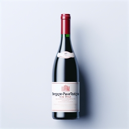 Burgundy Bourgogne Passe-tout-grains NUITS SAINT GEORGES 2022
