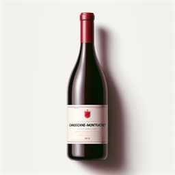 Borgogna Chassagne-Montrachet Domaine Pillot-Henry Nuits Saint Georges 2019