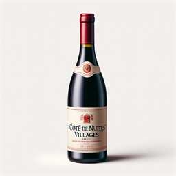 Bourgogne Côte de nuits villages Jeanmarc Millot Aux Faulques 2021