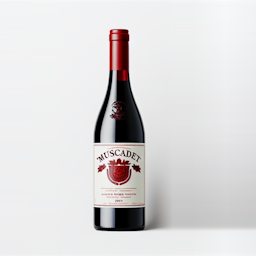 Vallée de la Loire Muscadet Domaine de Bellevue Statera 2020