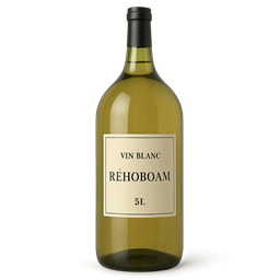Vin Blanc sec Ladoucette 2022 France Vallée de la Loire Pouilly-fumé AOC
